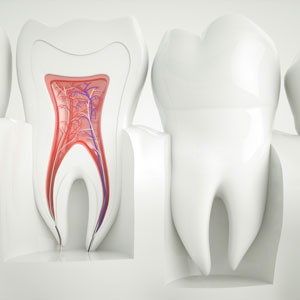 Complex Dental Work